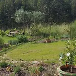 Casa Limonina Вилла Lourical