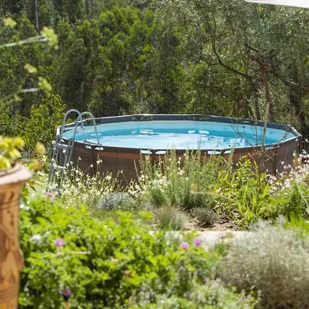 Casa Limonina Villa *