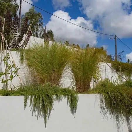 Casa Limonina Villa Lourical