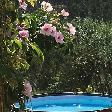 Casa Limonina Villa *