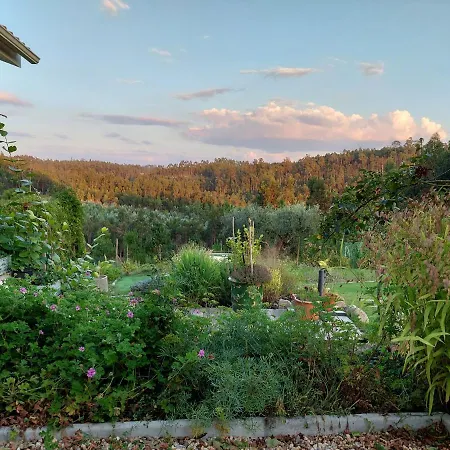 Casa Limonina Lourical