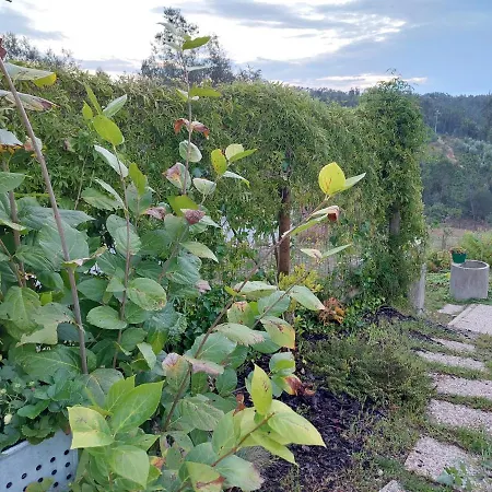 Casa Limonina Villa Lourical