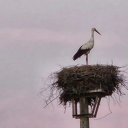 Villa Casa Limonina Lourical