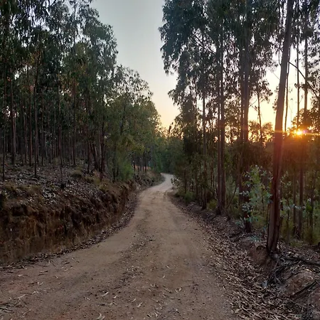 Casa Limonina Lourical