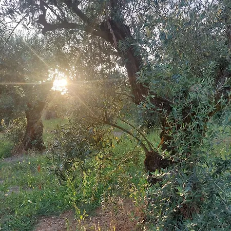 Casa Limonina Villa *