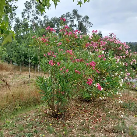 Casa Limonina Lourical