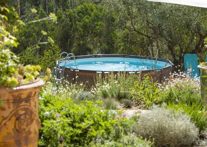 Casa Limonina Vila *