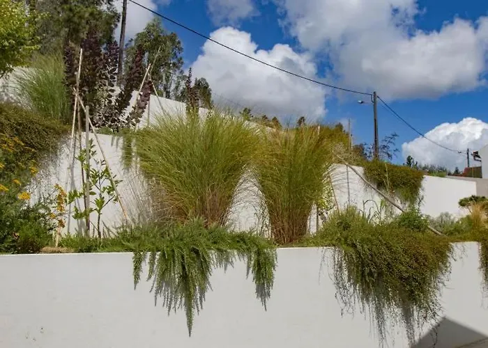 Casa Limonina Vila Lourical