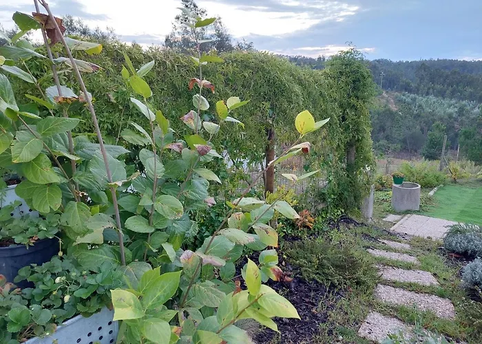 Casa Limonina Vila Lourical