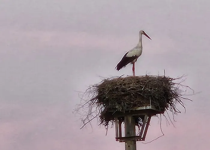 Vila Casa Limonina Lourical