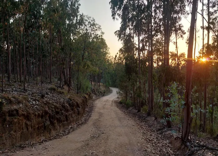 Casa Limonina Lourical