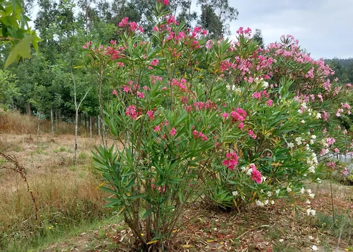 Casa Limonina Lourical